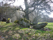 Balnaguie Chambered Cairn_5787547141_l.jpg