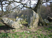 Balnaguie Chambered Cairn_5787552365_l.jpg