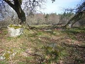Balnaguie Chambered Cairn_5787561279_l.jpg