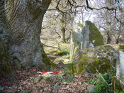 Balnaguie Chambered Cairn_5787565725_l.jpg