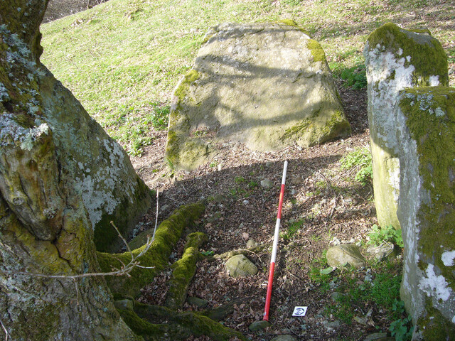 Balnaguie Chambered Cairn_5788096148_l.jpg