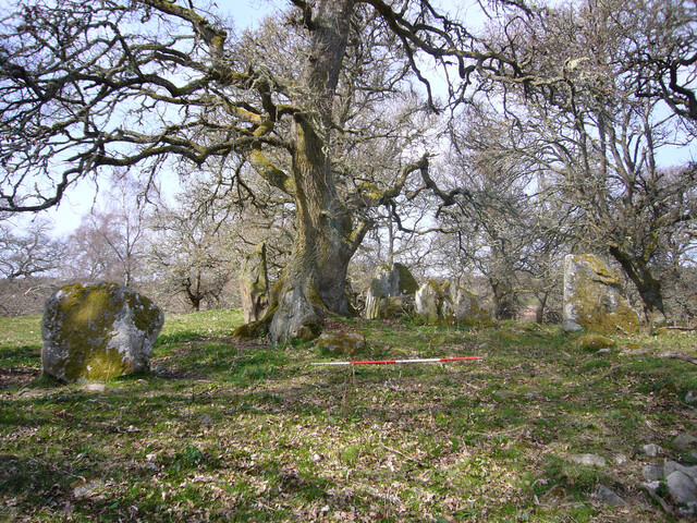 Balnaguie Chambered Cairn_5788101158_l.jpg