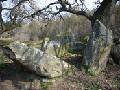 Balnaguie Chambered Cairn_5788115618_l.jpg
