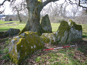 Balnaguie Chambered Cairn_5788120016_l.jpg