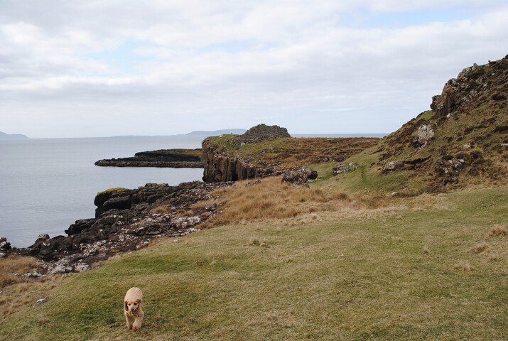 DSC_0021.JPG