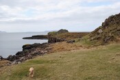 DSC_0021.JPG