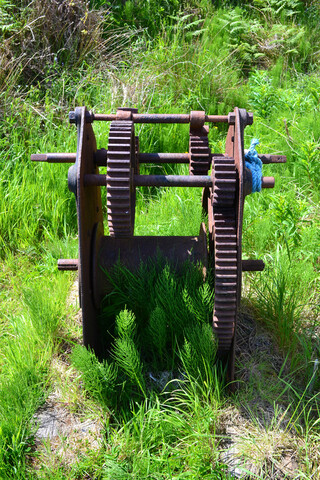 Winch_5807738537_l.jpg