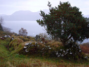 Leitir Fura, Kinloch, Isle of Skye_5783085847_l.jpg