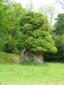 Achnacarry2011.01.JPG
