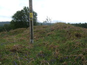 Achnacarry2011.30.JPG