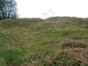 Achnacarry2011.31.JPG
