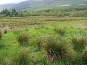 Achnacarry2011.37.JPG