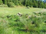 Achnacarry2011.39.JPG