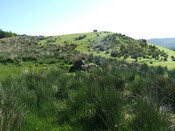 Achnacarry2011.40.JPG