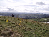 DSCF2331.jpg