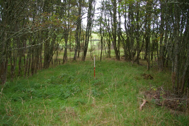 IMGP0226.JPG