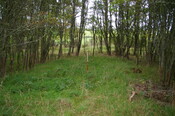 IMGP0226.JPG