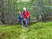 King's Causey Walk 17th Aug 2008 010.jpg