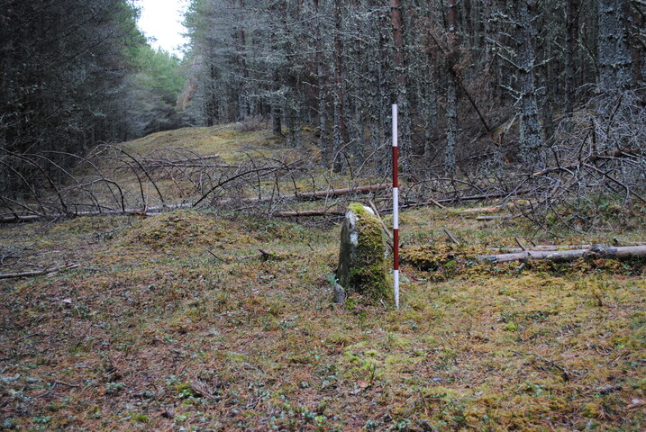 63.JPG