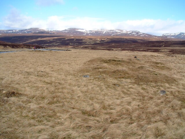 74.JPG