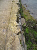 IMG_1647.jpg