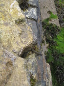 IMG_1648.jpg