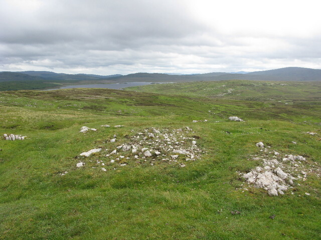 81 view SE is this natural Q.jpg