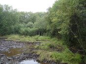 No.4 taken September 2010 same view & position as photo No.1.jpg