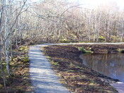 No.9 taken November 2010 same view as photo No.3.JPG