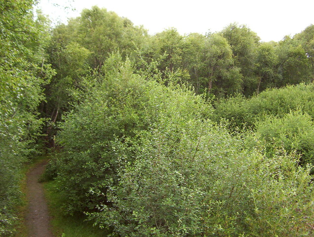 No3. taken July 2010 looking due west along the southern ban.JPG