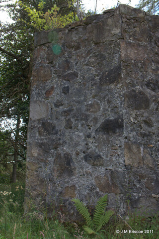 Toman na Croiche_5964641173_o.jpg
