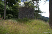 Toman na Croiche_5965193742_o.jpg