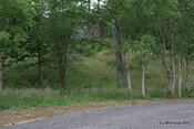 Toman na Croiche_5965214764_o.jpg