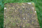 Kilfinnan Burial Ground & McDonnell Mausoleum_5937713713_o.jpg
