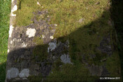 Kilfinnan Burial Ground & McDonnell Mausoleum_5938268524_o.jpg