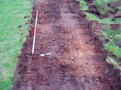 Dalfaber 003.jpg