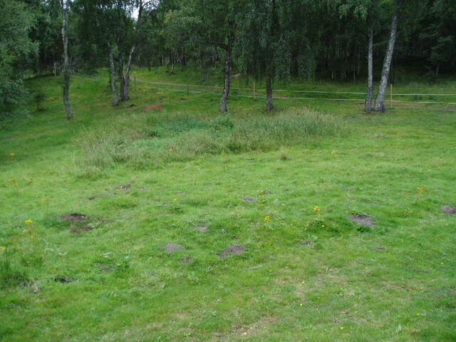 Dalfaber 005.jpg