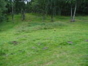 Dalfaber 005.jpg