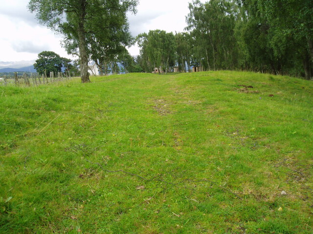 Dalfaber 006.jpg