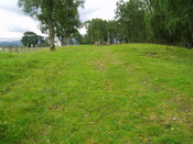 Dalfaber 006.jpg