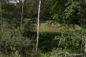 Cill Donnain_5966526928_o.jpg