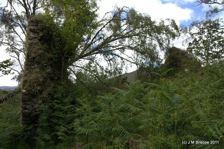 Tor Castle_5894865237_o.jpg