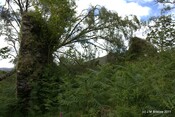 Tor Castle_5894865237_o.jpg