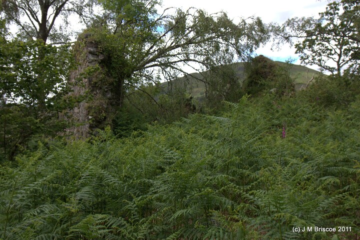 Tor Castle_5894870753_o.jpg