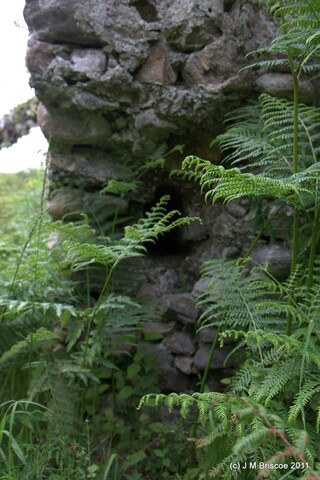Tor Castle_5894877573_o.jpg
