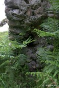 Tor Castle_5894877573_o.jpg