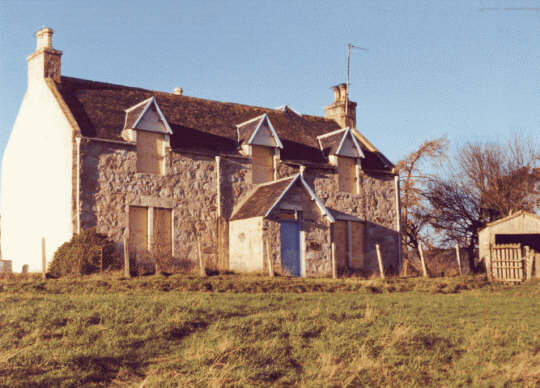 dalfaber-91.jpg