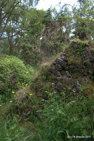 Tor Castle_5894903917_o.jpg