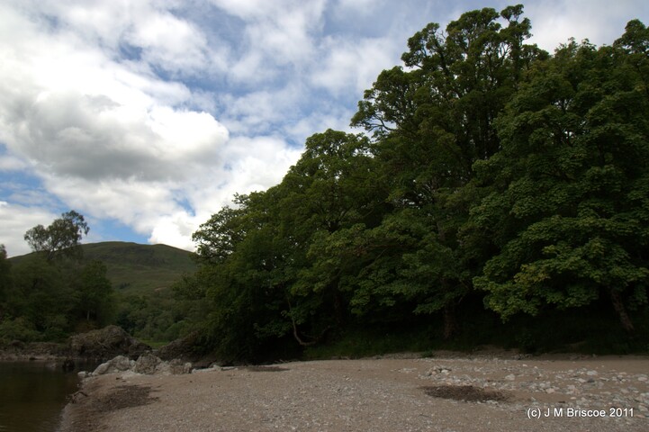 Tor Castle_5895419010_o.jpg