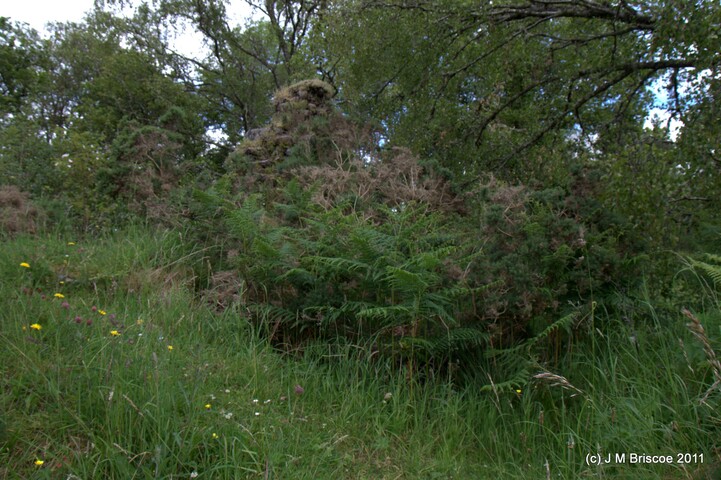 Tor Castle_5895424930_o.jpg